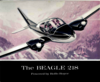Beagle 218